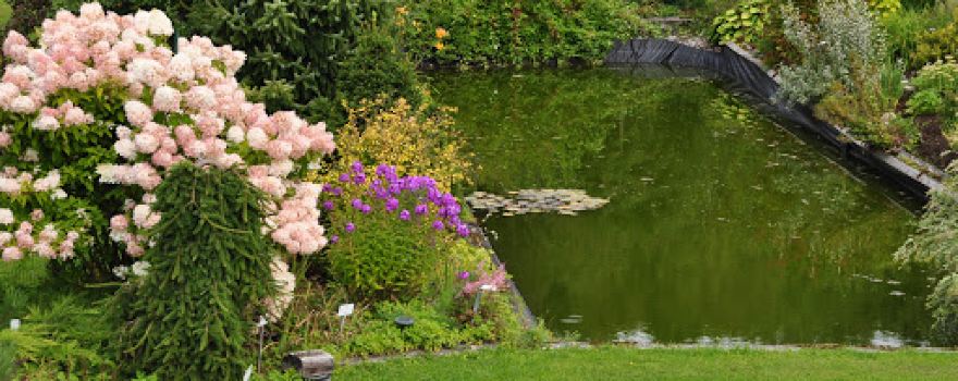 Neva Garden