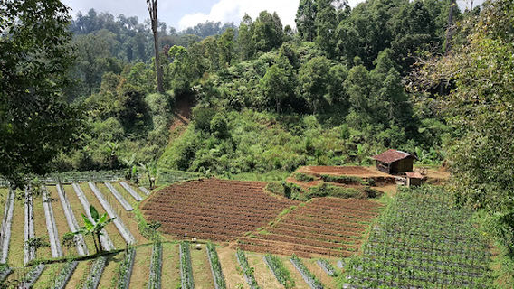Saung Garuda ngupuk