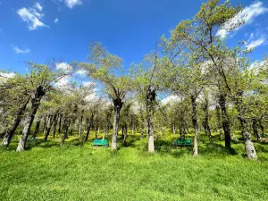 Taanayel Park