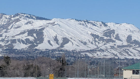 Kenroy Park