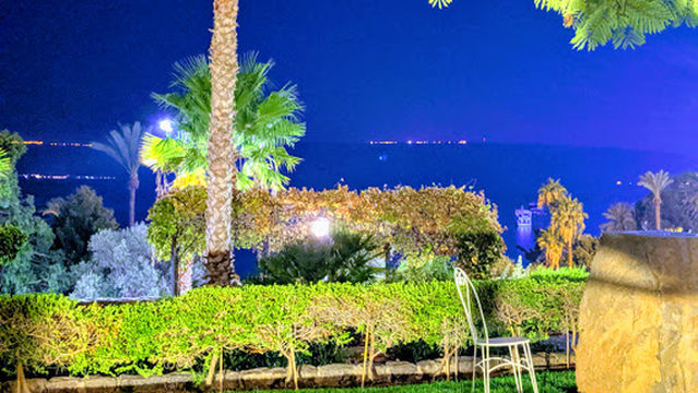 Sculpture Garden Museum