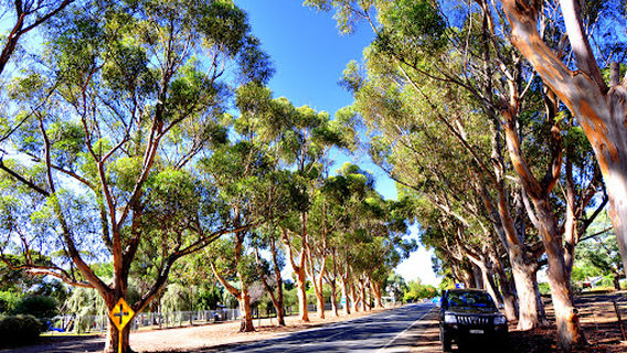 Заказник Уинклер