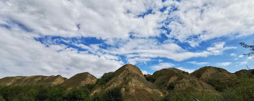 Views Lower Prut Natural Reservation