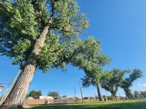Laura Mills Park