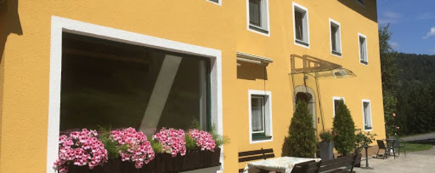 Haus David