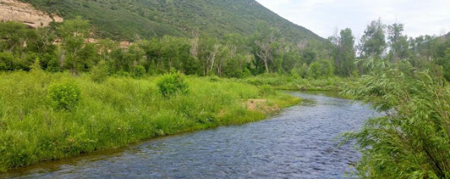Dolores River State Wildlife Area