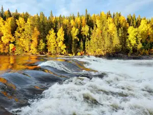Fällforsen