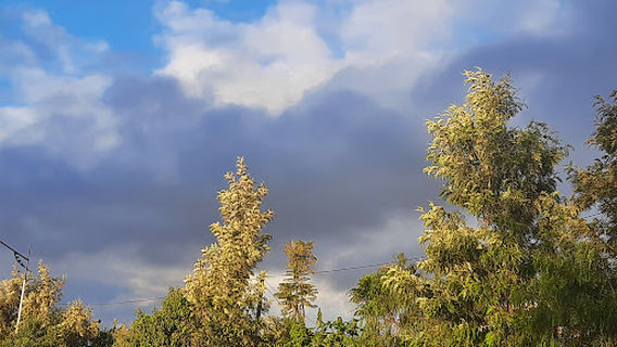 Anointing Tv/ Prophet Deresse Lakew