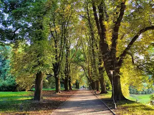 Park Miejski