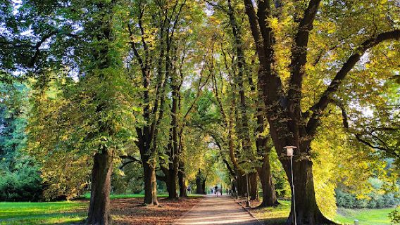 Park Miejski