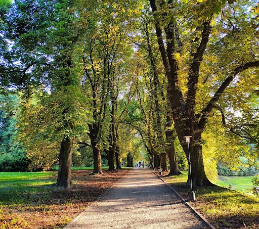 Park Miejski