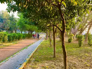 Jogger's Park