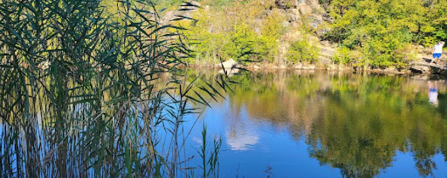 Cranberry Lake Preserve