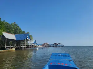 Trapeang Sangkae Mangrove forest