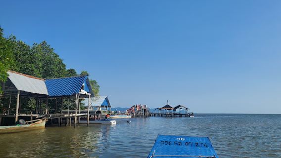Trapeang Sangkae Mangrove forest