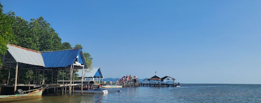 Trapeang Sangkae Mangrove forest
