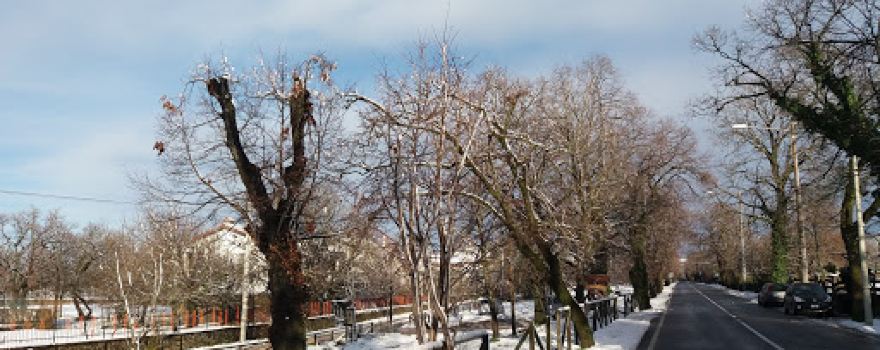 Lake area (Kal) of ​​Basovizza-Bazovica