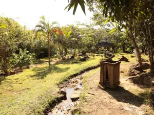 Domaine de la Cascade | Plantation Lansargues