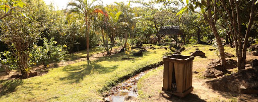 Domaine de la Cascade | Plantation Lansargues