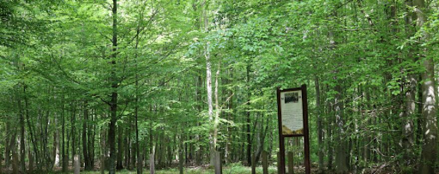 Site de la Reine mère Elizabeth