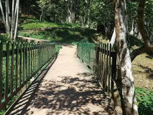 Zoocriadero UNAS Tingo Maria