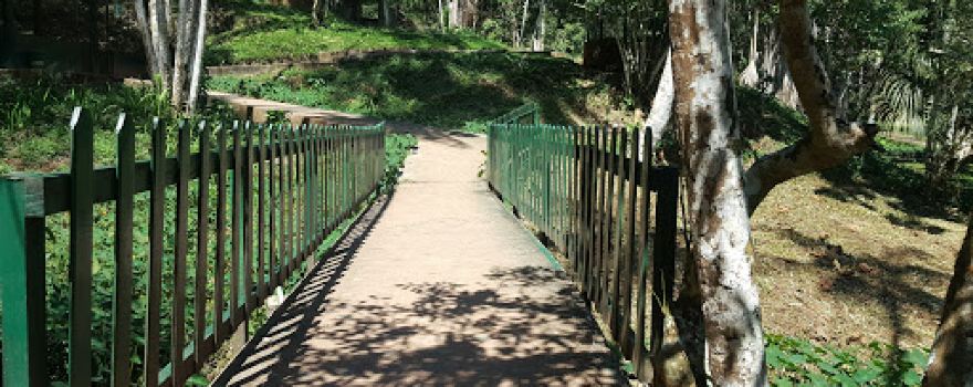 Zoocriadero UNAS Tingo Maria