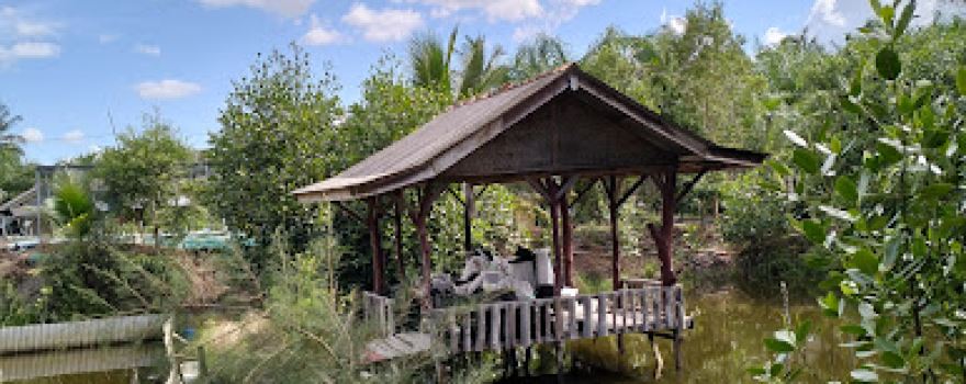 Mangrove Munjang Kurau Barat