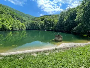 Sipovics Tengerszem