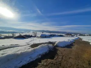 Akdağmadeni Şehitler Ormanı