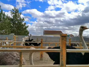 Strauszoopark