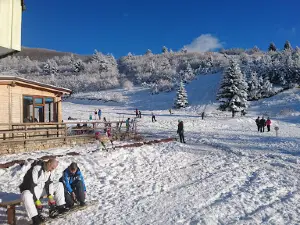 IVAN - Ski Resort