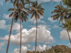 Wisata alam & rekreasi borkal