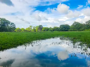 Padang Penggembalaan Cidaon