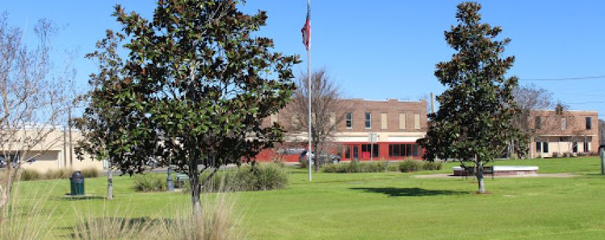 Magnolia Square