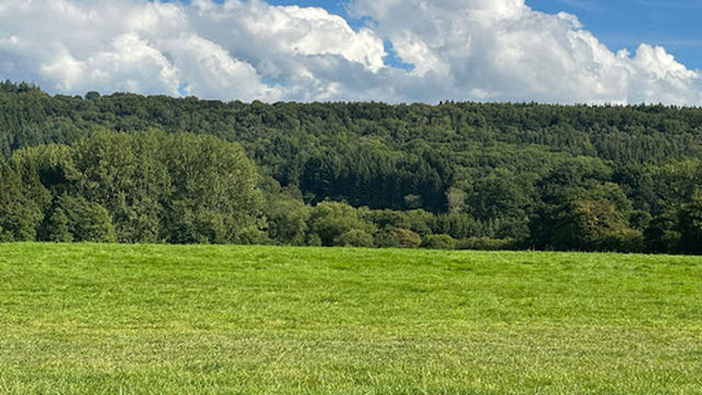Church Stretton Camp and Fish (Oaklands)