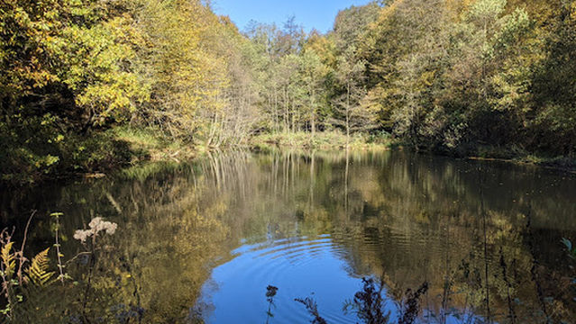 Watercourse system Gelpe- and Saalbach Valley