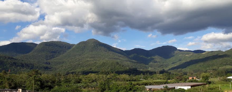 Mata Paludosa Biological Reserve
