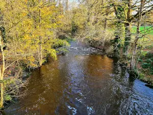 Le Lié