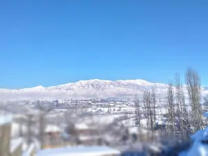 Tepai Samarkand