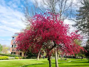 Park Sint-Truiden
