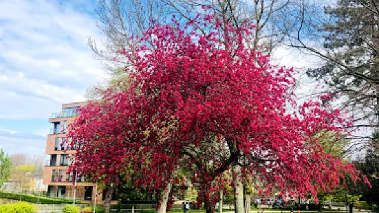 Park Sint-Truiden