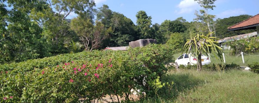 Mahaweli Ground Dehiattakandiya