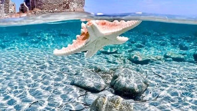 Torre Delle Saline Stintino