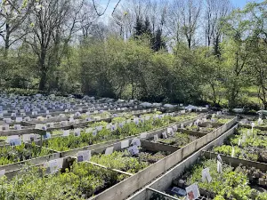 Gärtnerei Gartenreich Oberrieden