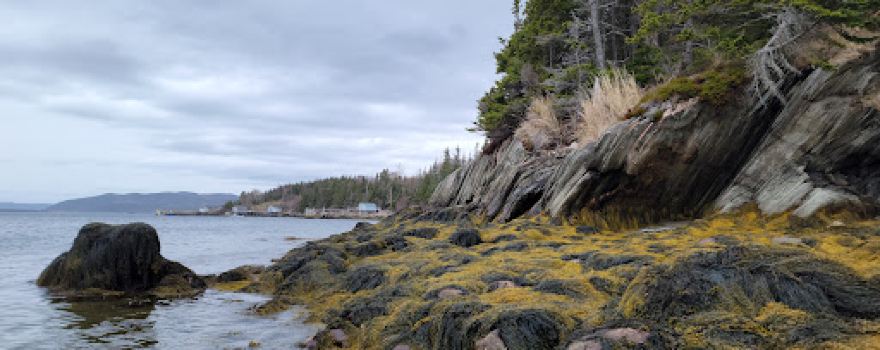 Placentiaman's Point Walking Trail