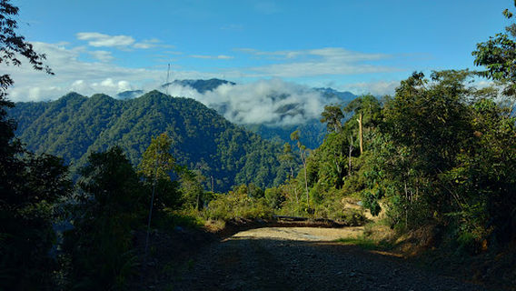Long Sebayang