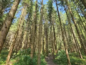 Barfußpfad Tieringen