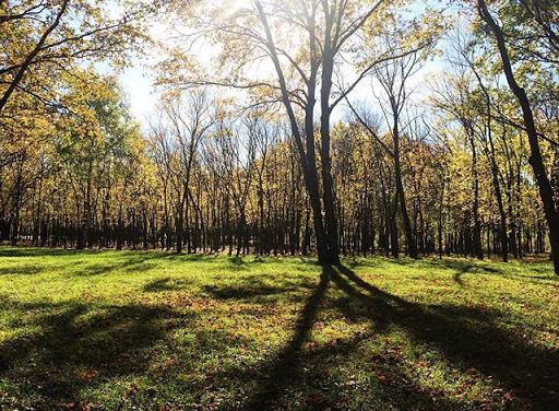 Park "Oak Grove"