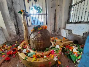 Shree Shalleshvar Mandir