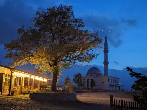 Dibra camping